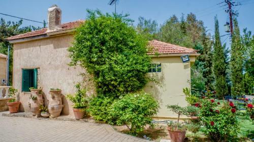 Sylvia's Guest House