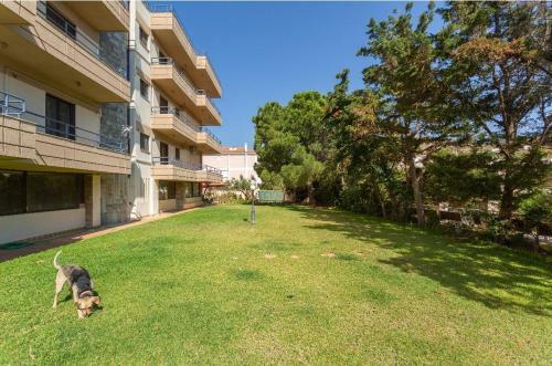 Sunny Beach Apartment Near Sounion