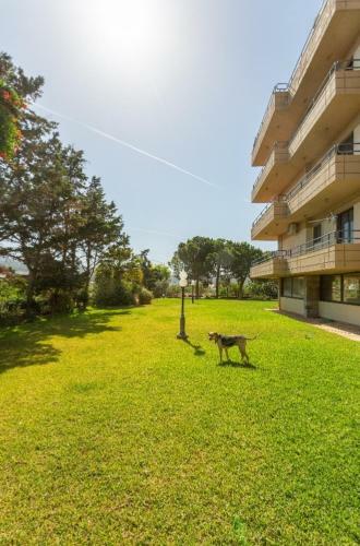 Sunny Beach Apartment Near Sounion