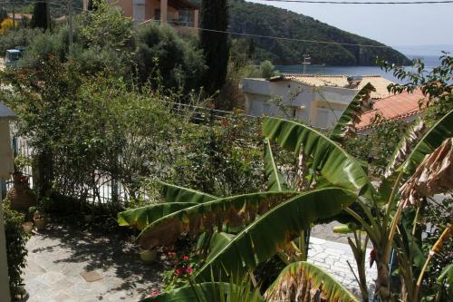 Apartamento Studios Koukis