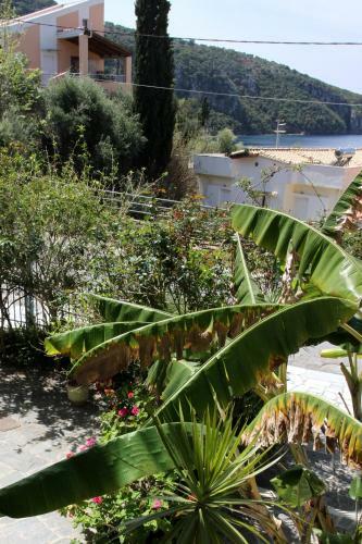 Apartamento Studios Koukis