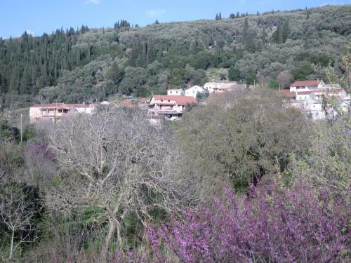 Agroturismo Anna's Countryside House