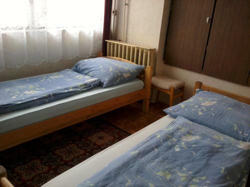 Misi Vend�gh�z
