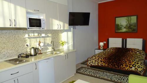 Apartment Shoshi