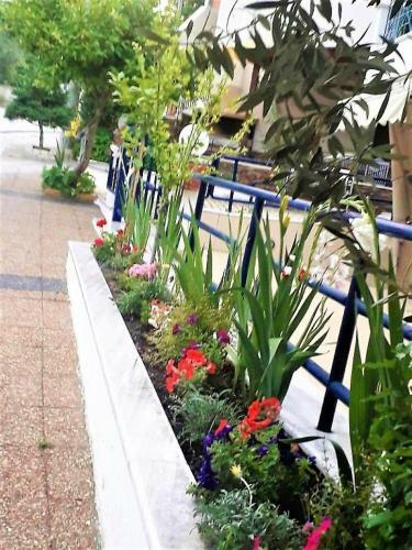 Apartamento Lilac Studio