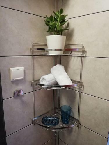 Apartamento Forest 22