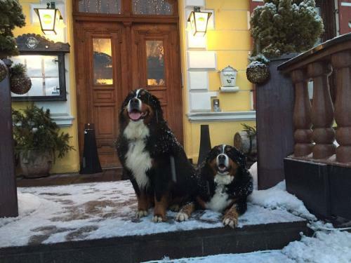 Hostal Gasthof Post