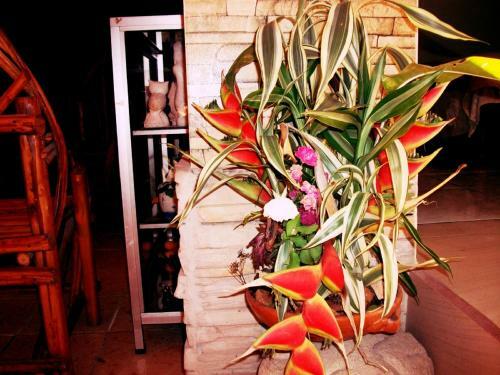 Hotel & Hostal Yaxkin Copan