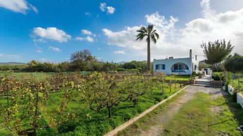 Blue Beach House