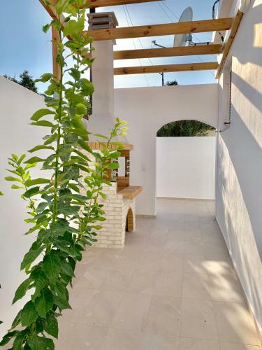 Villa Maximus