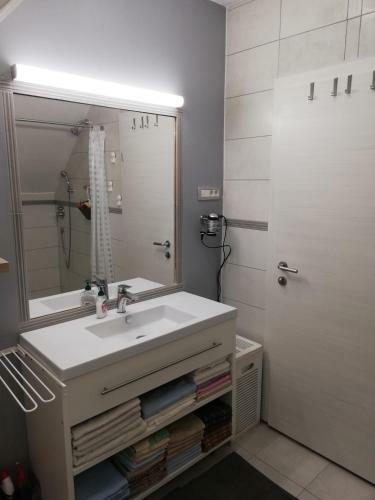 Studio Apartman Zagreb Horvati
