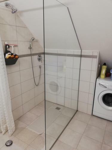 Studio Apartman Zagreb Horvati