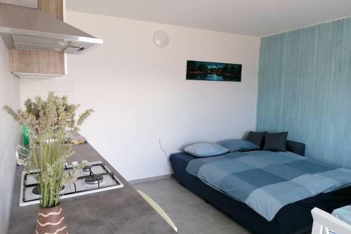 Apartment - Santa Marina