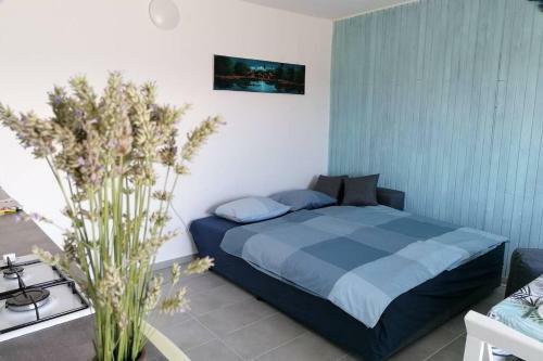 Apartment - Santa Marina
