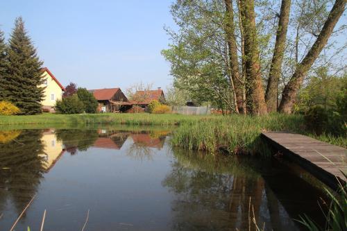 Apartamento Ferienwohnung Weidengrund Burg Kauper