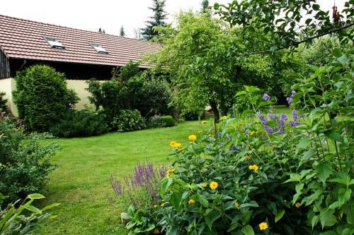 Apartamento Ferienwohnung Weidengrund Burg Kauper