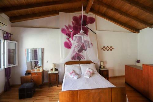 Almina Apartment