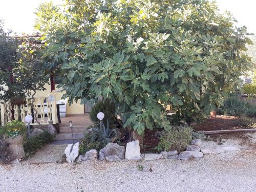 Apartman Sanjkovi?