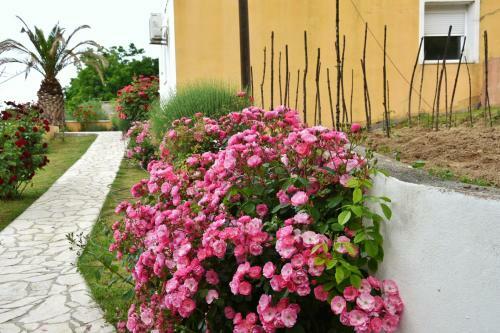 Apartamento Sanela