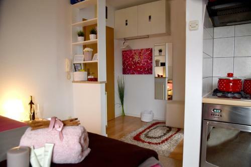 Studio Apartman D