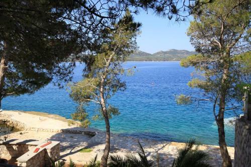 Seaside Secluded Apartments Lavdara, Dugi Otok - 433