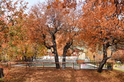 Lodge Caba�as Las Cabras