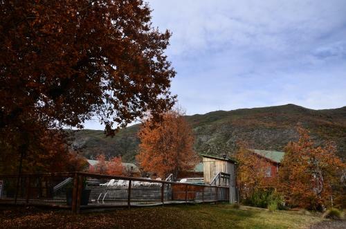 Lodge Caba�as Las Cabras