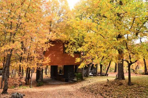 Lodge Caba�as Las Cabras