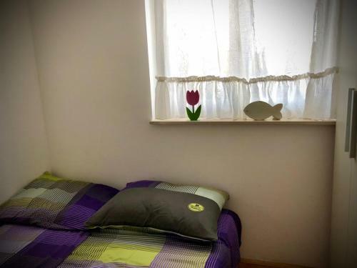Apartmani Salvia
