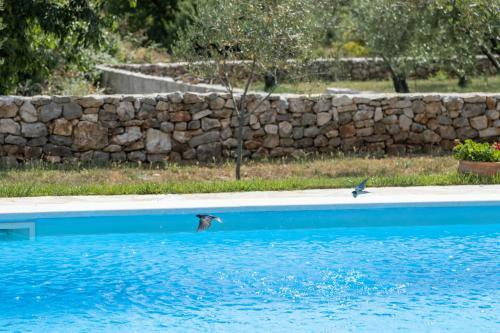 Villa Jerolim