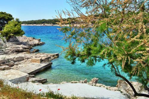 Apartments By The Sea Bilo, Primosten - 14601