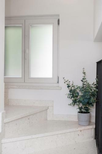 House Andro