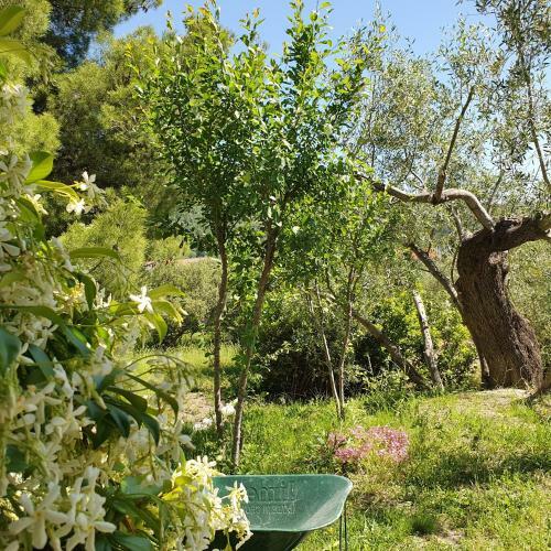 Vacation Home In Slano Near Dubrovnik