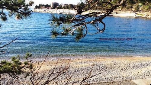 Apartments Adriatic 3