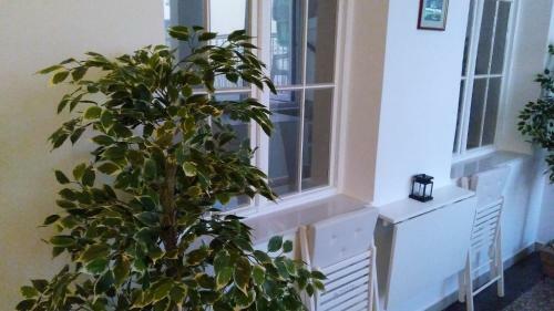 Apartmani Lela