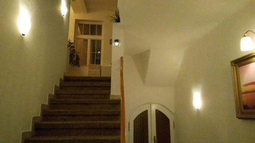 Apartmani Lela