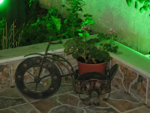 Apartamento Eleftheria Studios