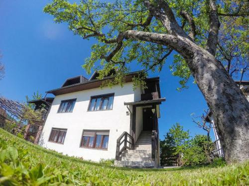 Apartamentos Cherry House