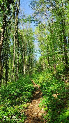 Apartamento Smaragd River Near Rastoke & Plitvice Lakes