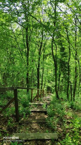 Apartamento Smaragd River Near Rastoke & Plitvice Lakes