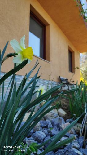 Apartamento Smaragd River Near Rastoke & Plitvice Lakes