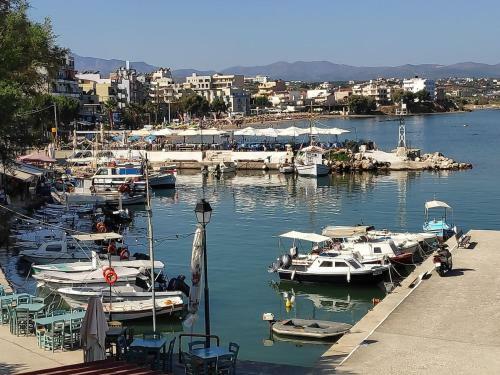Complete Three-room Apartment With Large Terraces And Car Parking