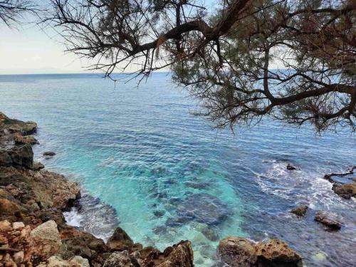 Apartamento New Sea Escape Boutique Apt