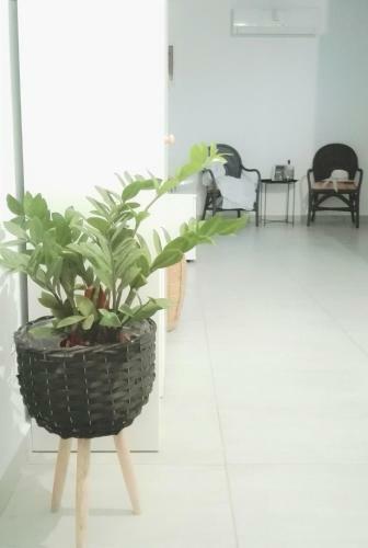 Apartamento New Sea Escape Boutique Apt