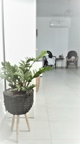 Apartamento New Sea Escape Boutique Apt