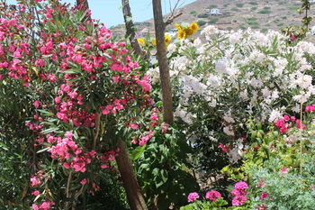 Hotel Mare Monte