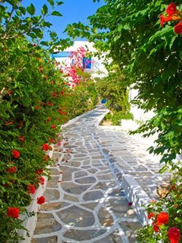 Hotel Mare Monte