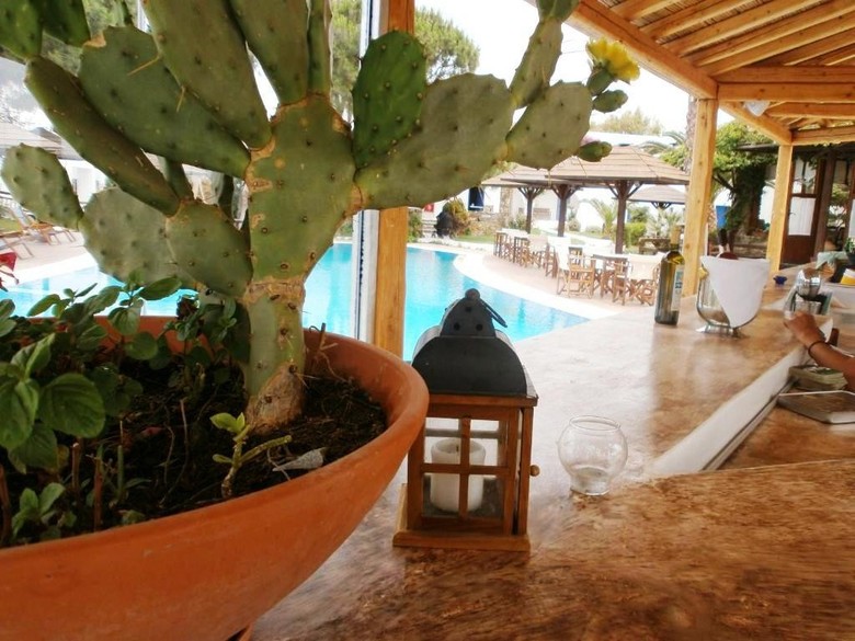 Hotel Alkyoni Beach