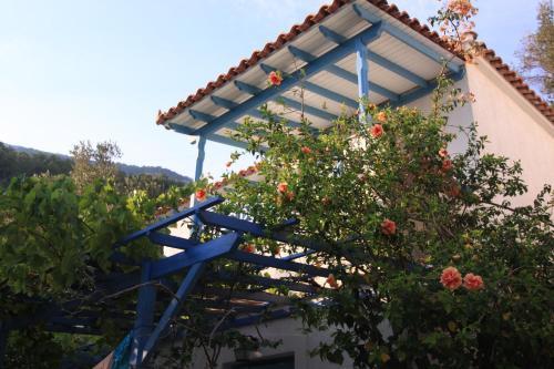 Apartamento Blue Horizon