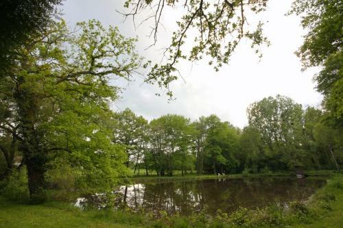 Bed & Breakfast L'or�e De Sologne